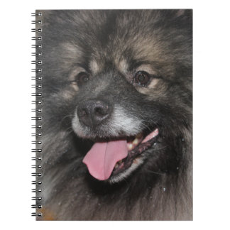 CARNET JOLI CHIEN KEESHOND GRIS FLUFFY