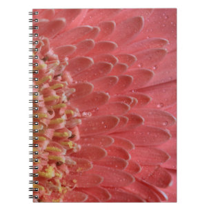 Carnet Joli Coral rose Gerbera Daisy