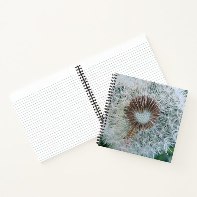 Carnet Joli Dandelion blanc (Intérieur)