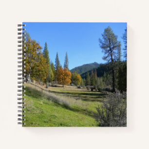 Carnet Joli jour dans la vallée...
