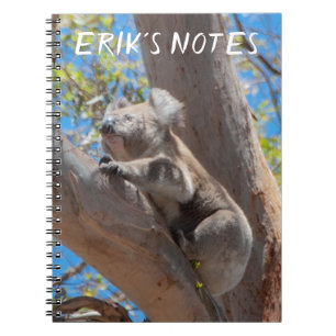 Carnet Joli koala grimpant à un arbre, personnalisé