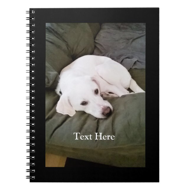 Carnet Joli Labrador Retriever Blanc Fatigué Mix Chien Ch (Devant)