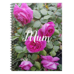 Carnet Joli Mug Fleur de Rose Rose Vintage Rose pour l'an