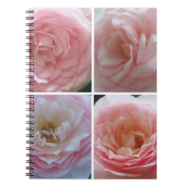 Carnet Joli Rose (Devant)