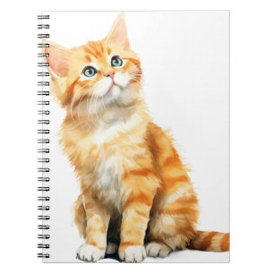 CARNET JOLIE EAU COULEUR ORANGE TABBY CAT