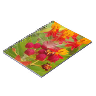 Carnet Jolie florale colorée avec Milkweed Art Imprimer