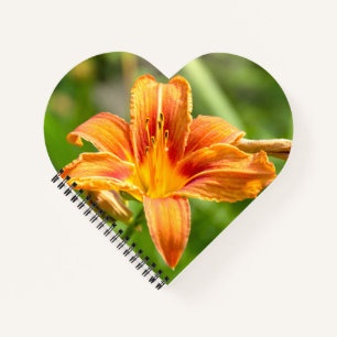 Carnet Jolie grande fleur Lily photo