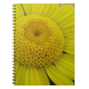 Carnet Jolie marguérite jaune