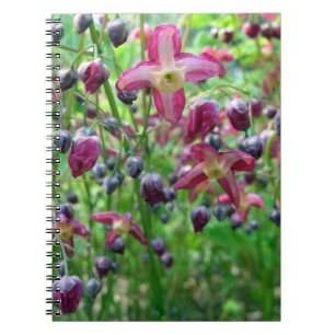 Carnet Jolies ailes de fées (Epimedium) Photo de fleurs d