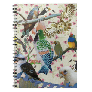 Carnet Jolies birdies