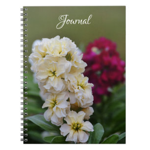 Carnet Jolies fleurs Stocks de Gertie's Garden