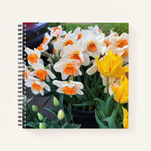 Carnet Jonquilles & Tulipes, Oregon