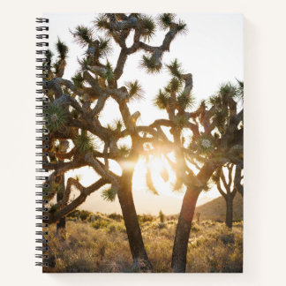 Carnet Joshua Tree - Edition limitée