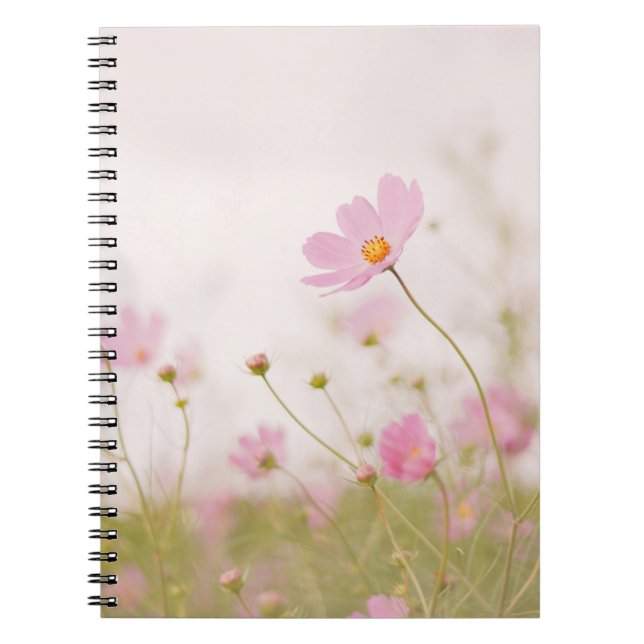 CARNET JOUR DE WINDY (Devant)