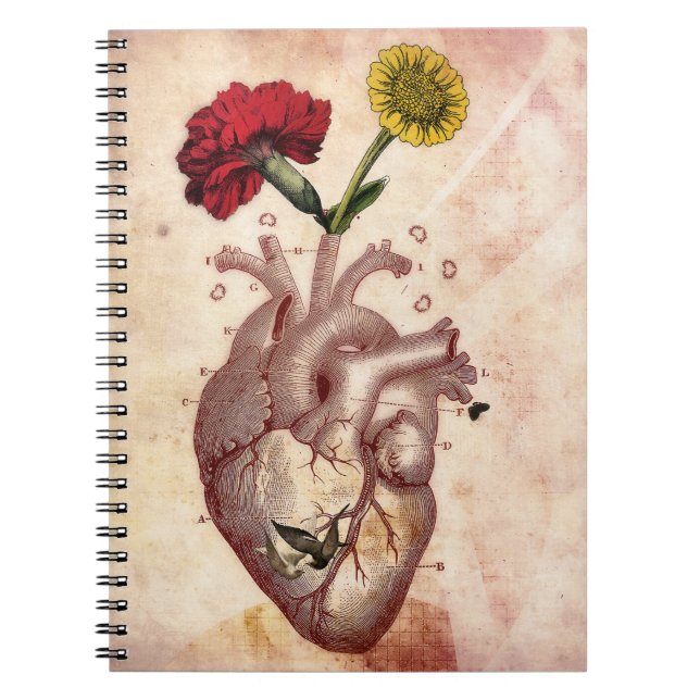 Carnet Journal, carnet, spirale, Anatomie 2, coeur (Devant)