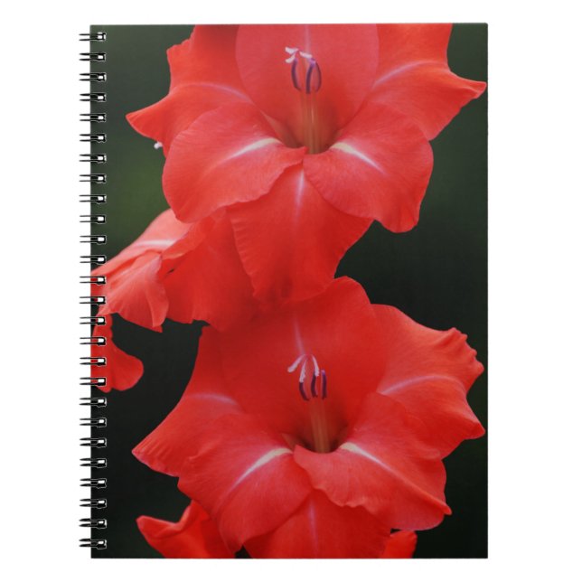 Carnet Journal des fleurs rouges (Devant)