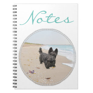Carnet Journée à la plage
