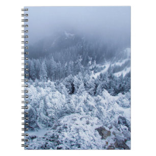 Carnet Journée d'hiver au beau milieu des montagnes