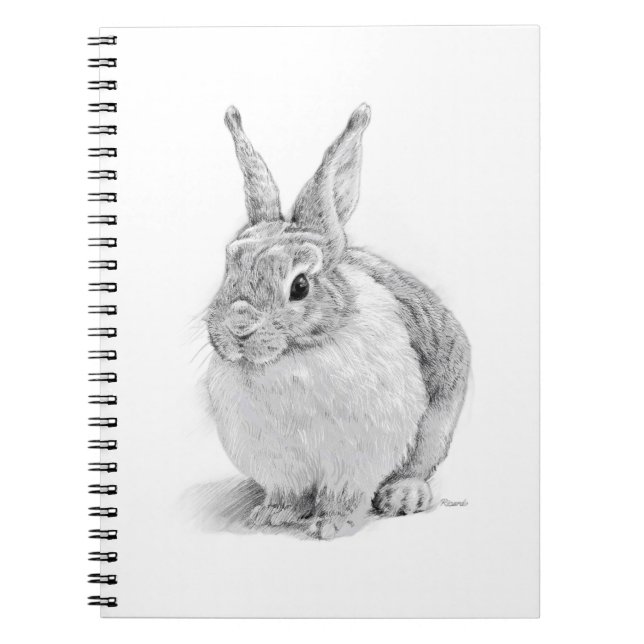 Carnet Journée du lapin (Devant)