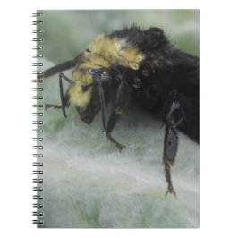 Carnet Jours pluvieux