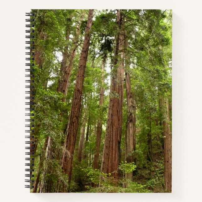 Carnet Jusqu'à Redwoods I au monument national de Muir Wo (Devant)