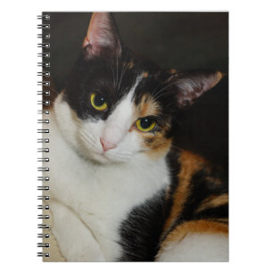 Carnet Juste en train de se pendre