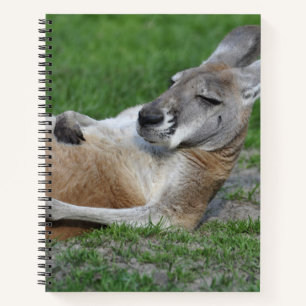 Carnet Kangaroo à dos