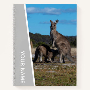 Carnet Kangourou mère et bébé en Australie, argent