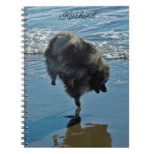Carnet Keeshond Ballet Photographie - Joli chien d'origin