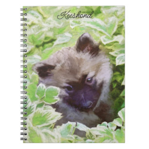 Carnet Keeshond Puppy in the Garden Peinture Art original