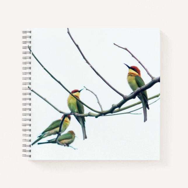 Carnet Kérala indien exotique Oiseaux d'abeille-mangeurs  (Devant)
