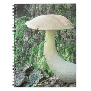 Carnet King Mushroom