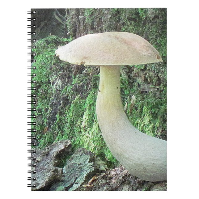 Carnet King Mushroom (Devant)