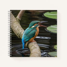 Carnet Kingfisher Bird