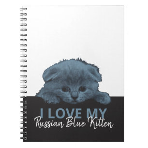 Carnet Kitten bleu russe