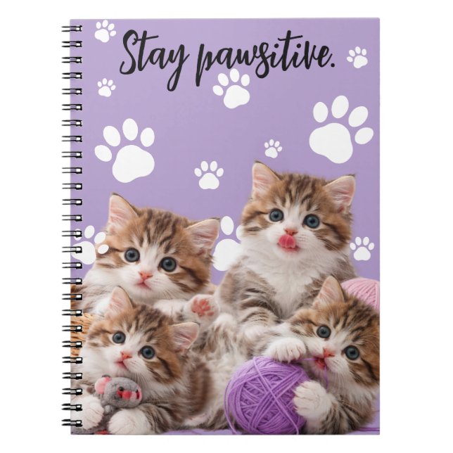 Carnet Kitten Stay Pawsitive Notebook (Devant)