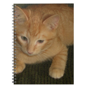 Carnet Kitty