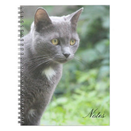 Carnet Kitty Cat