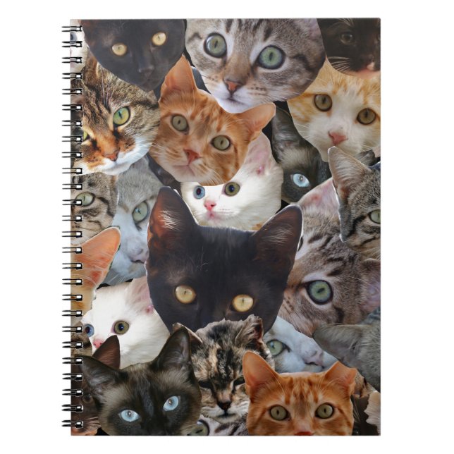 Carnet Kitty Collage (Devant)