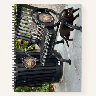 Carnet Kitty dans le parc