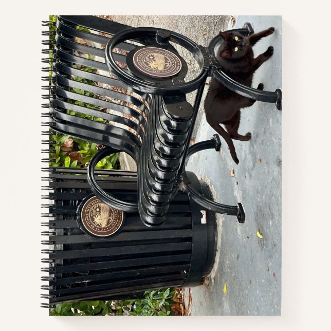 Carnet Kitty dans le parc (Devant)