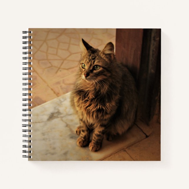 Carnet Kitty paisible (Devant)