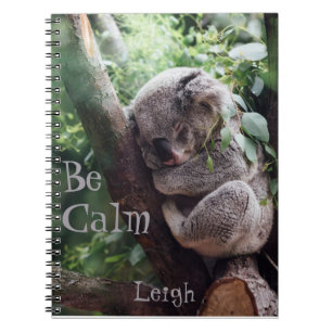 Carnet Koala Bear, mignons animaux, Journal,