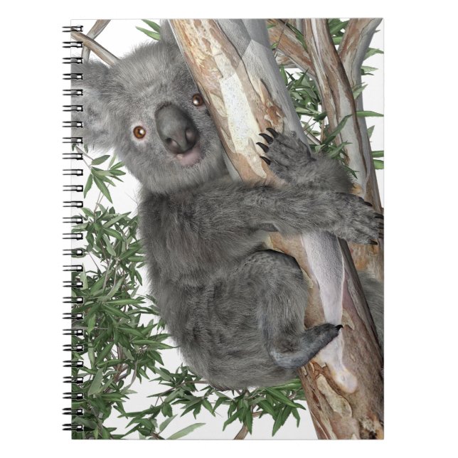 Carnet Koala dans un arbre (Devant)