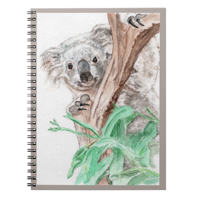 Carnet Koala, Peek-a-Boo (Devant)