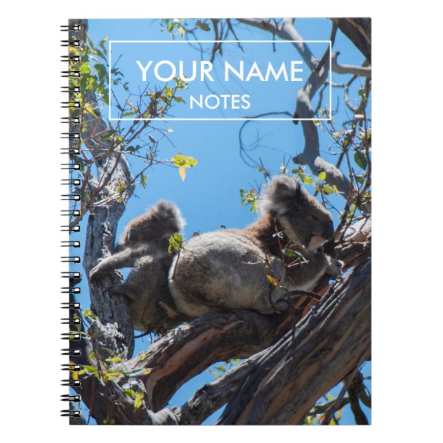 Carnet Koalas personnalisées (Devant)