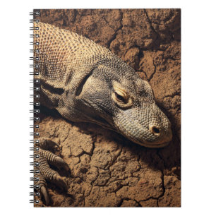 Carnet Komodo Dragon Earth Tones