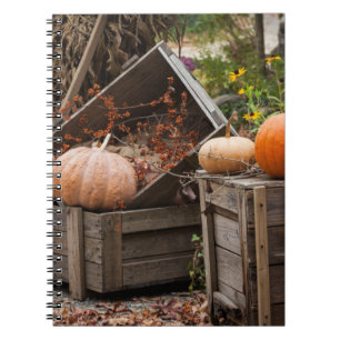 Carnet La Caroline du Nord, Linville, citrouilles