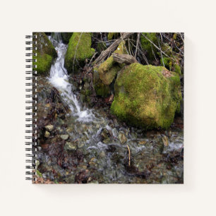 Carnet La cascade de Fae....