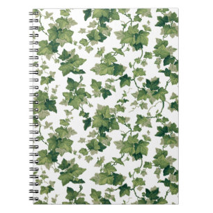 Carnet La Escalade verte colorée Ivy